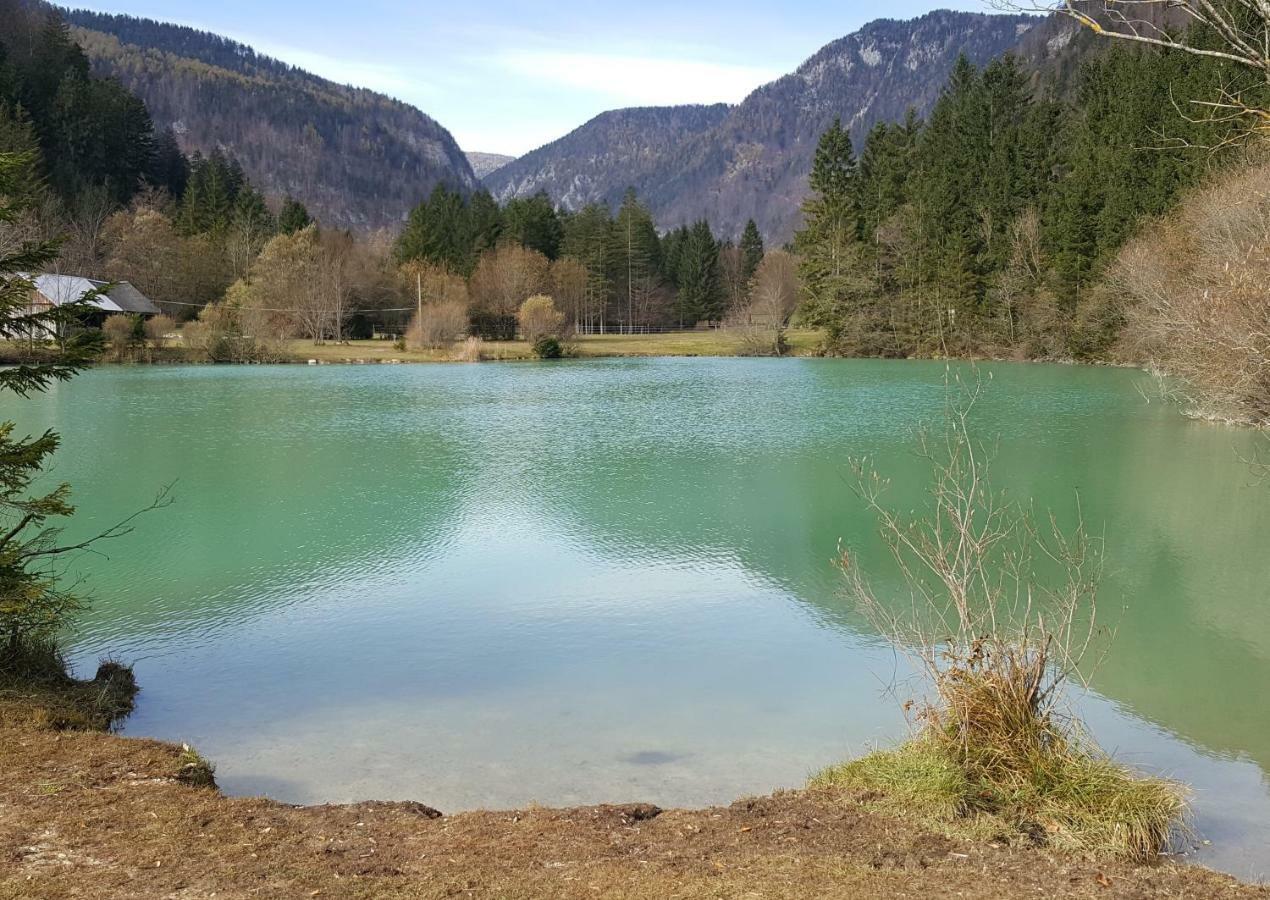 Apartma Manca Kranjska Gora Exterior photo